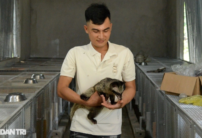 Nông dân 9X lãi lớn nhờ nuôi con “ngủ ngày, cày đêm”, mê ăn chuối