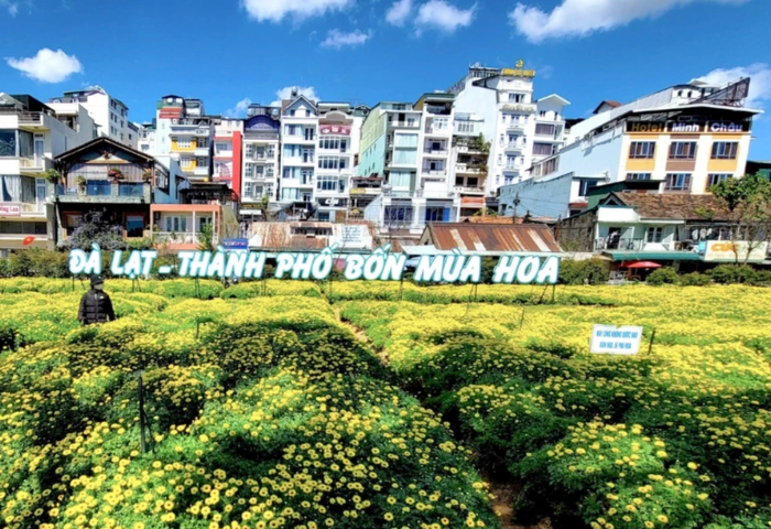 Thanh tra kiến nghị lãnh đạo Đà Lạt chấn chỉnh, rút kinh nghiệm