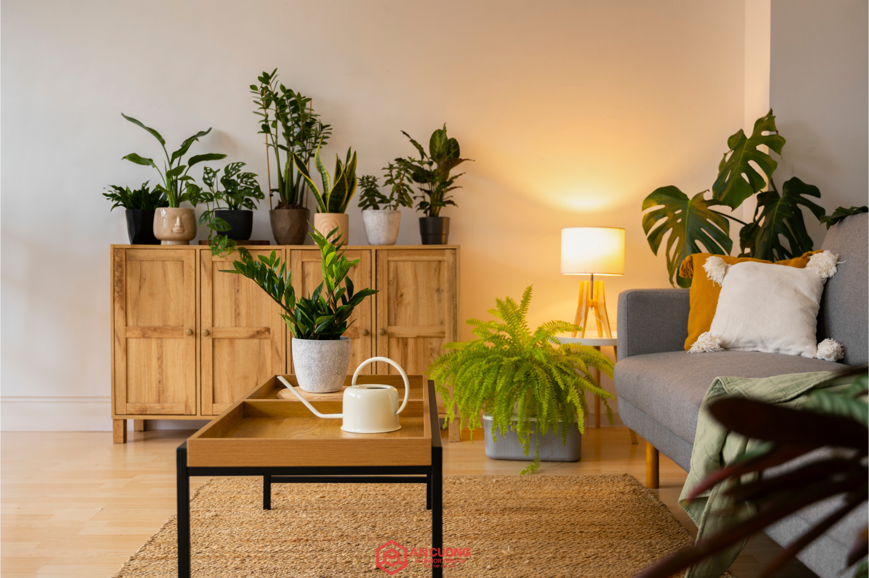 Thiết kế phòng khách